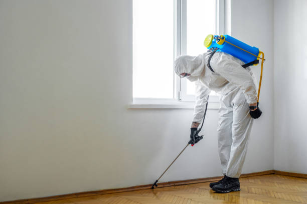 Best Bed Bug Extermination  in Corona, CA