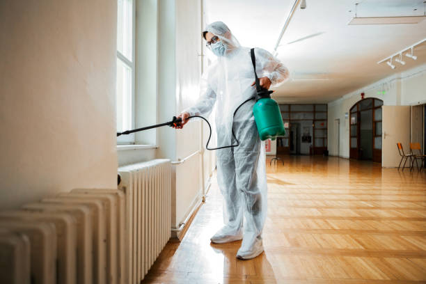 Trusted Corona, CA Pest Control Experts